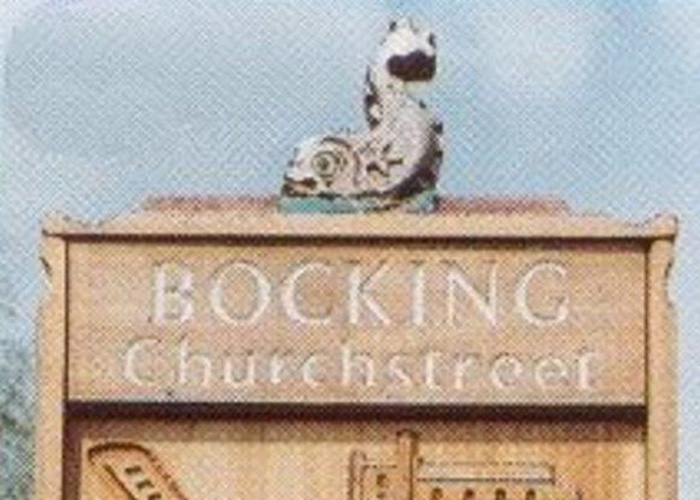 Bocking Churchstreet Pest Control Service