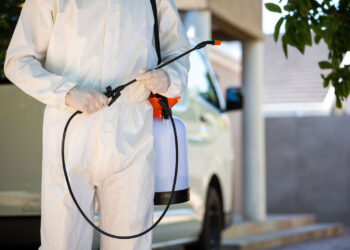 best pest control