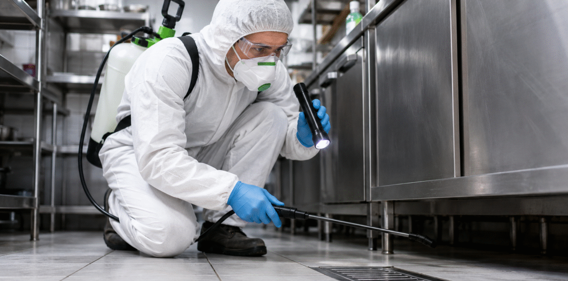 Commercial Pest Control in Colchester