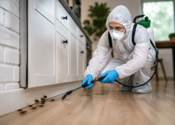 North Essex Pest Control